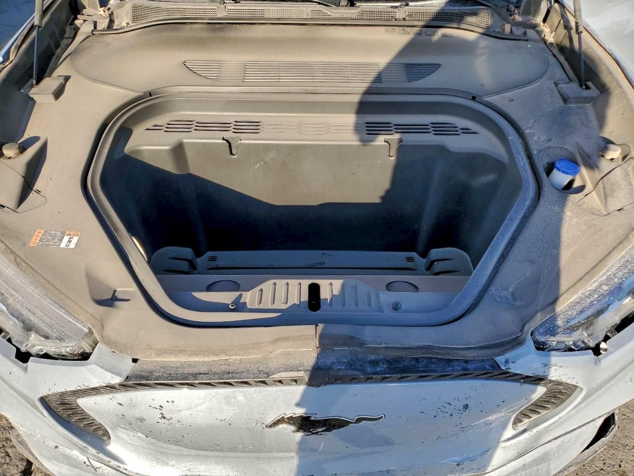 Ford Mustang Select Image 8