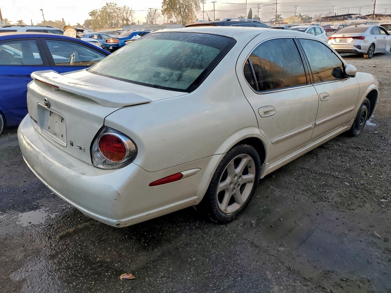 Nissan Maxima Gle Image 4