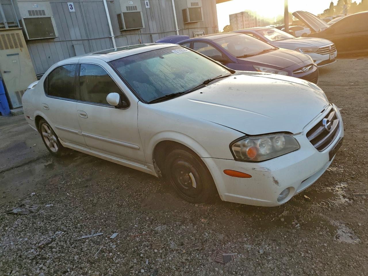 Nissan Maxima Gle Image 5