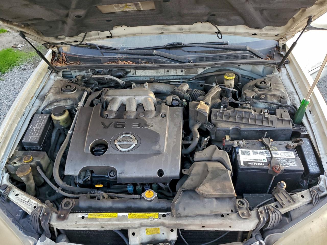 Nissan Maxima Gle Image 11