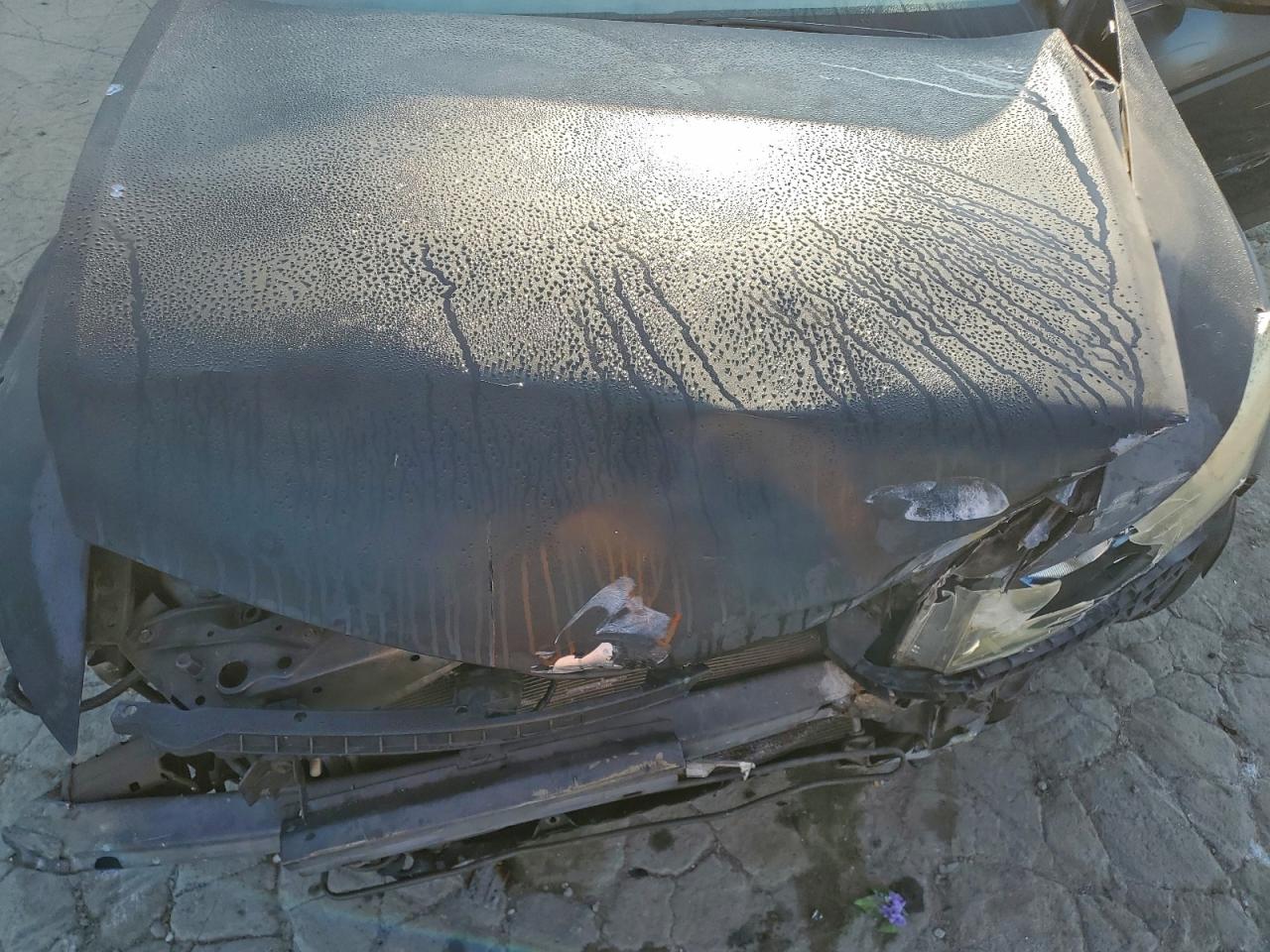 Honda Accord Exl Image 11