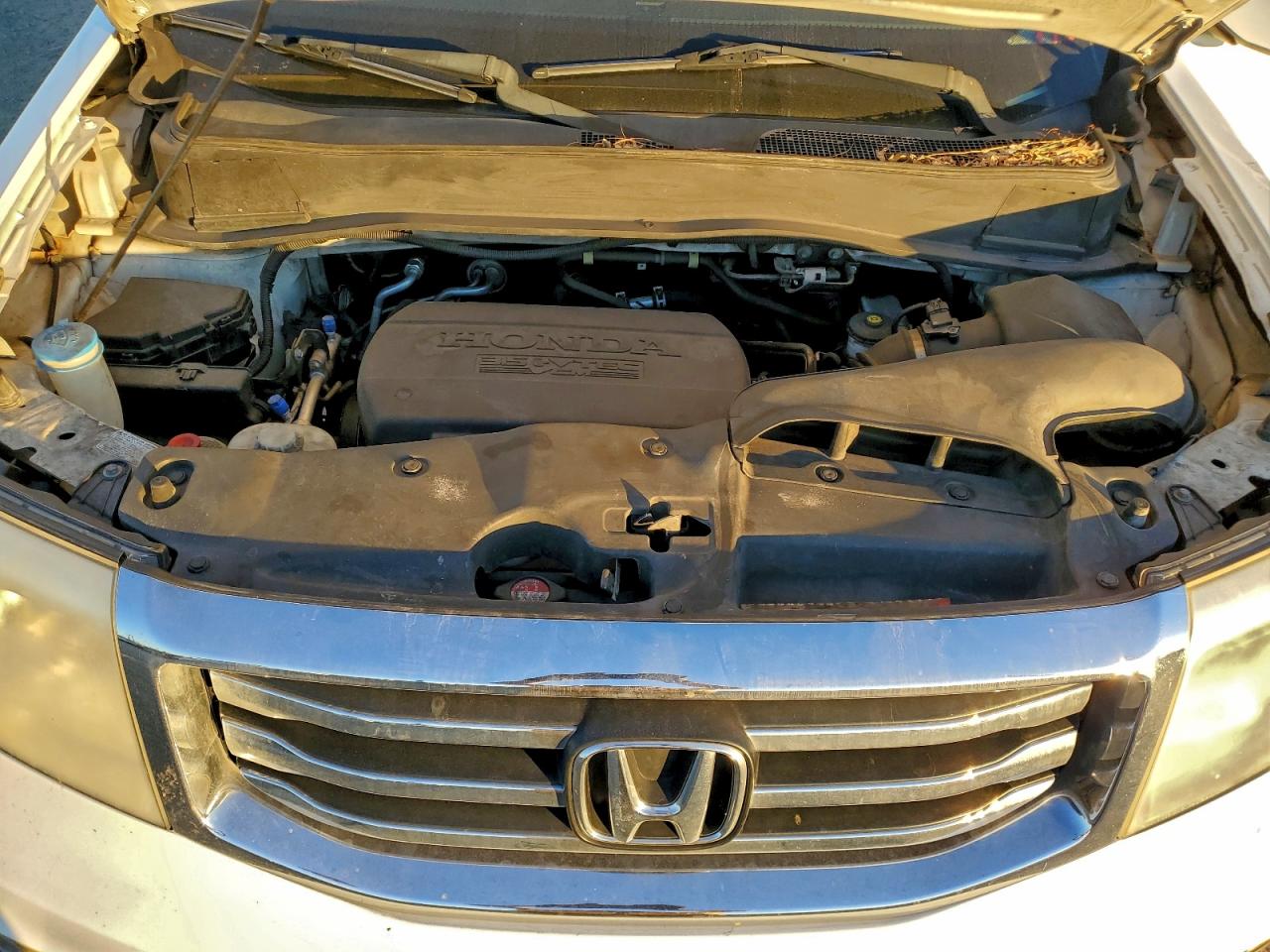 Honda Pilot Exln Image 7