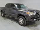 Toyota Tacoma Double Cab Image 1