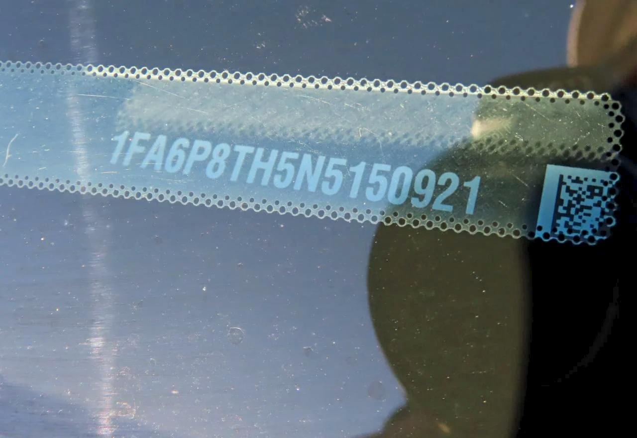 Ford Mustang Image 3