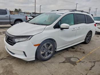 Salvage Honda Odyssey