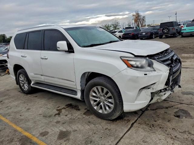 Lexus Gx 460 Image 2