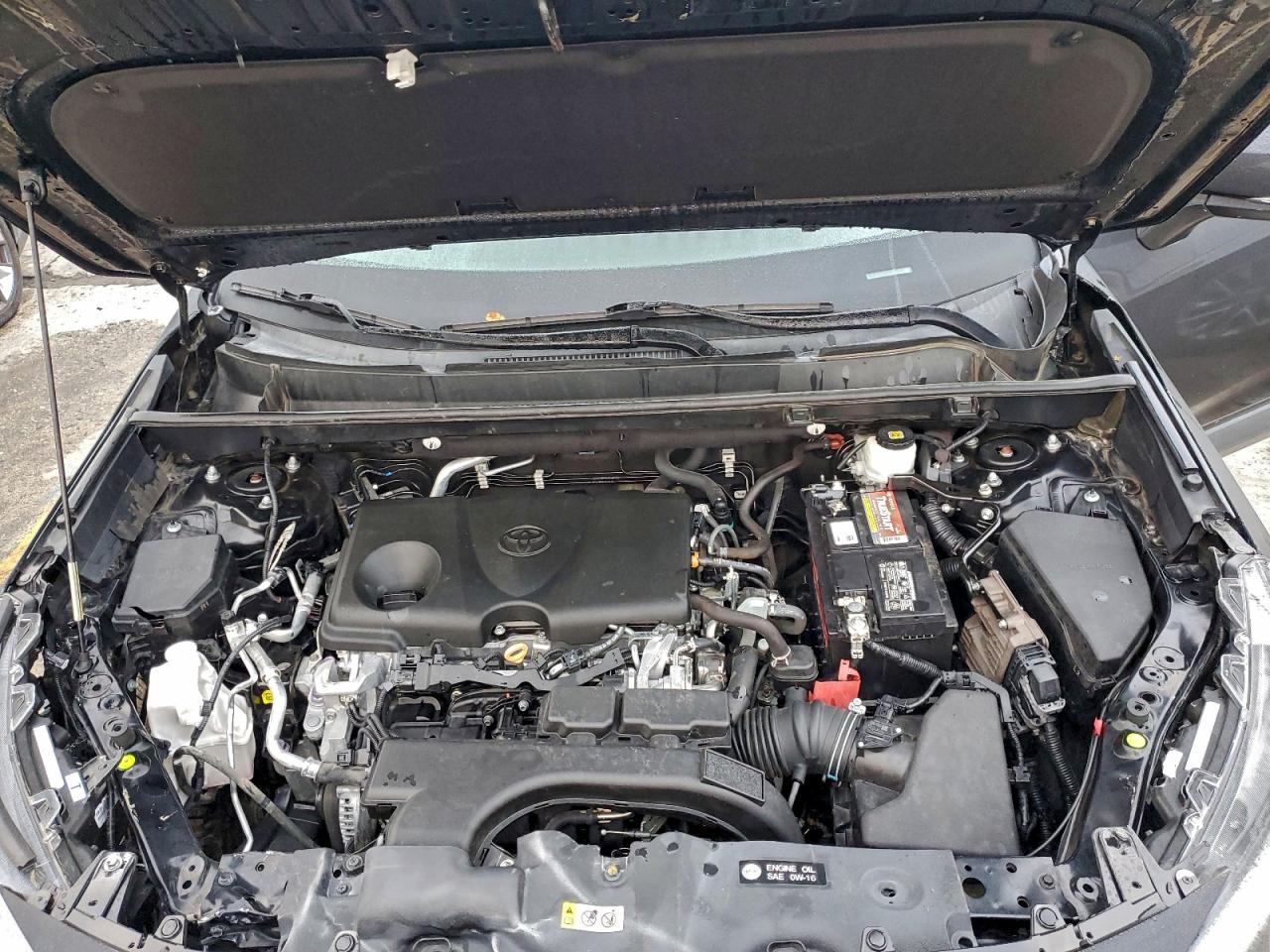 Toyota RAV4 Xle Image 11