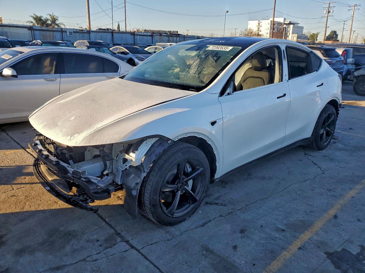 Tesla Model Y Image 1