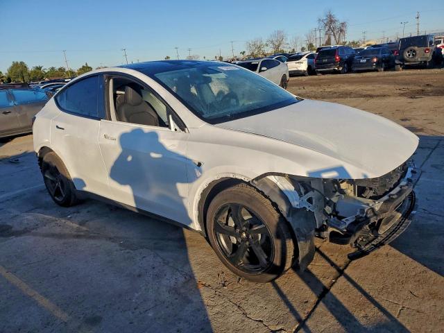 Tesla Model Y Image 5