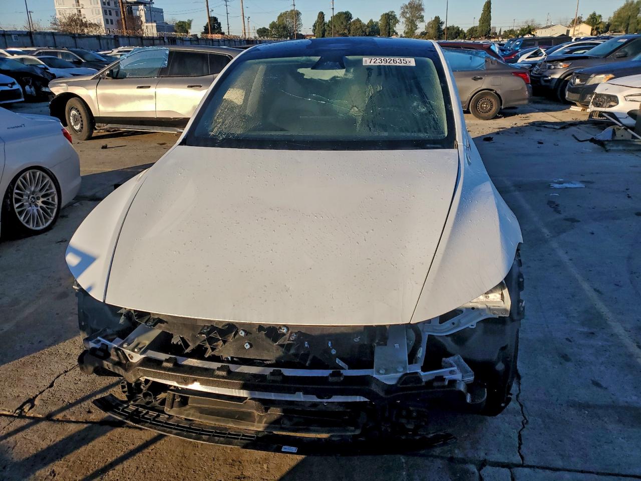 Tesla Model Y Image 3