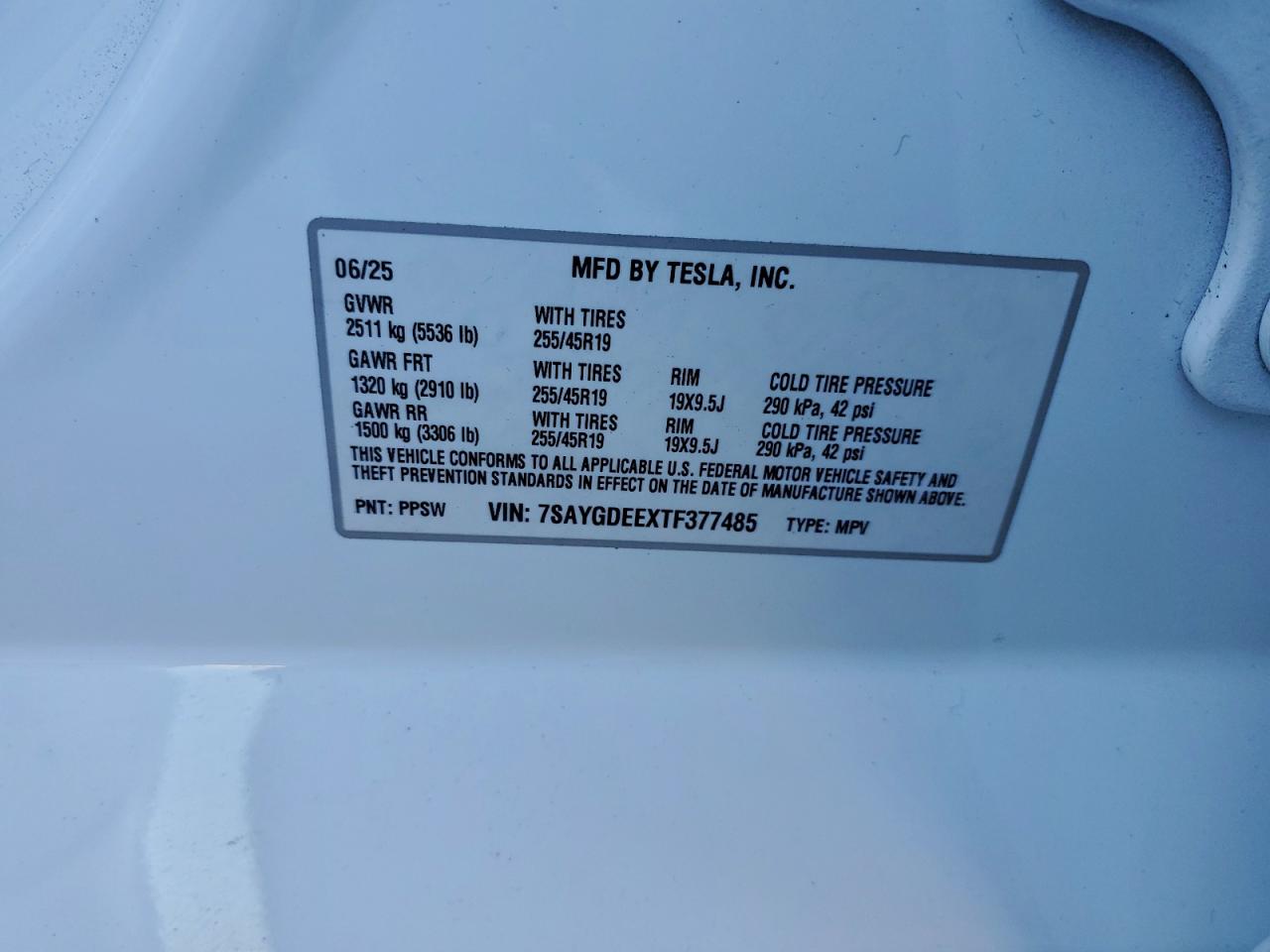 Tesla Model Y Image 10