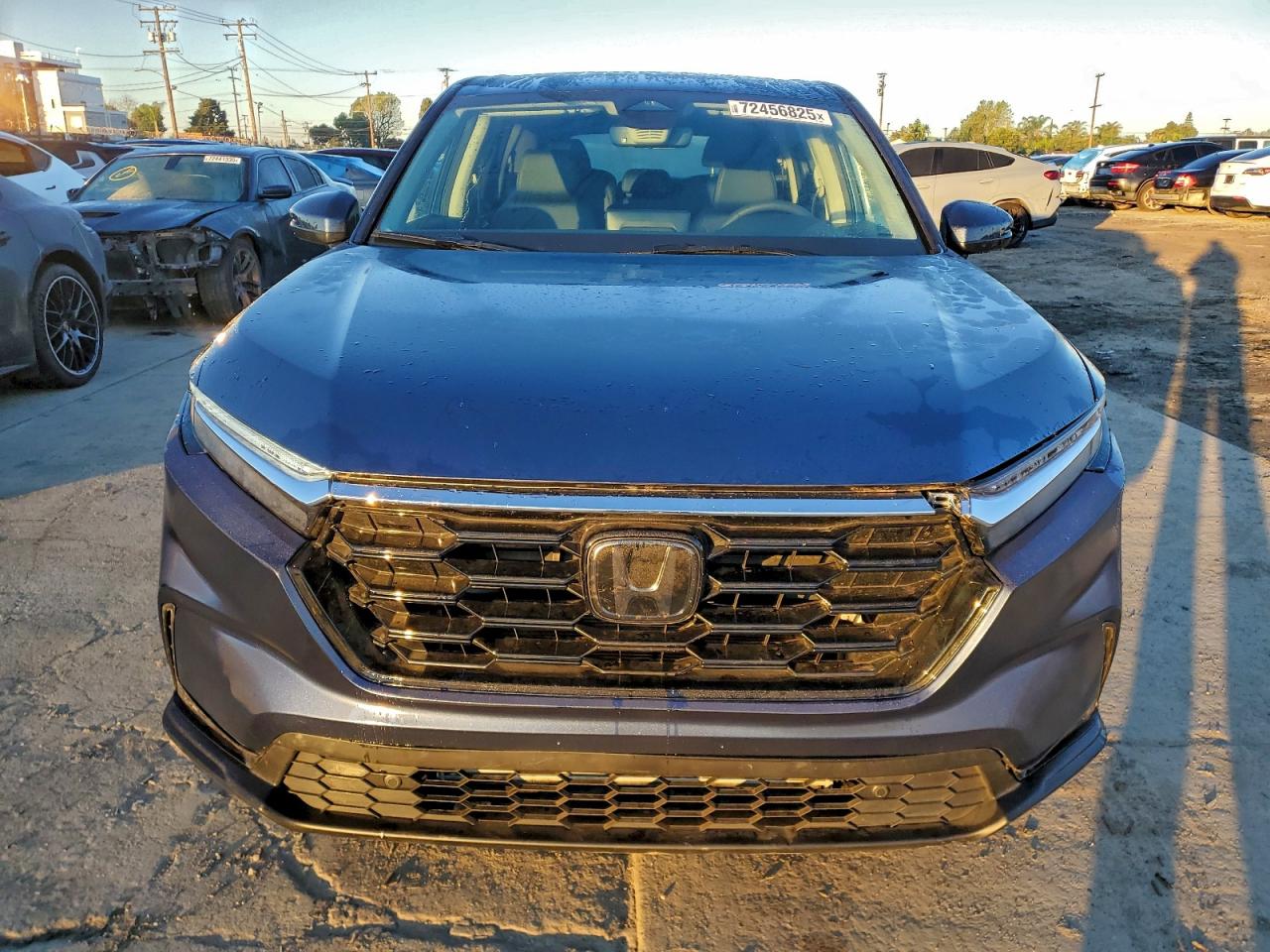 Honda Crv Exl Image 6