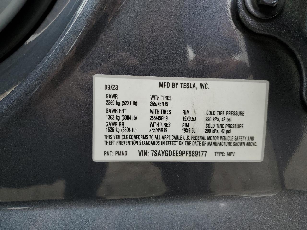 Tesla Model Y Image 12