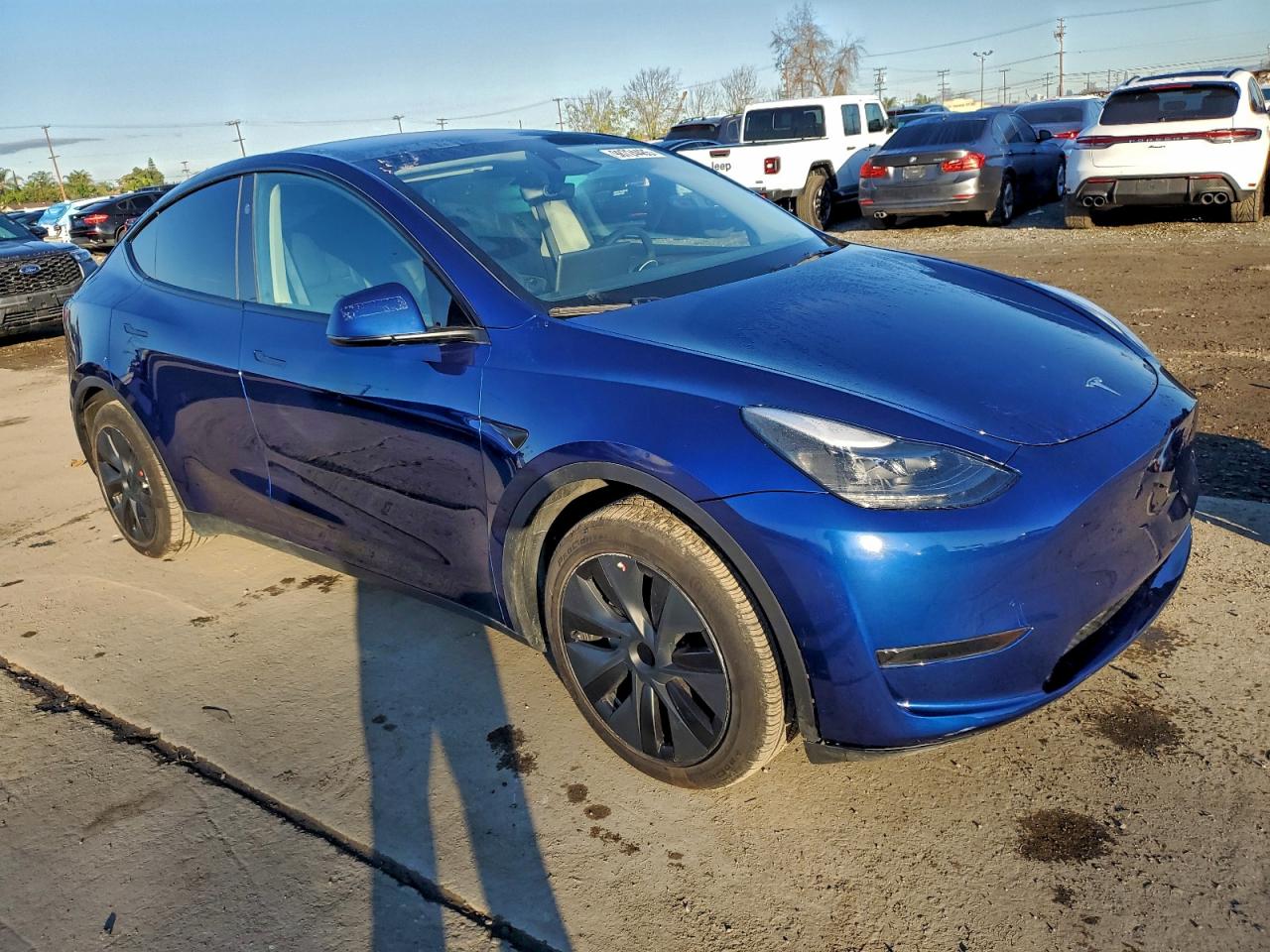 Tesla Model Y Image 6