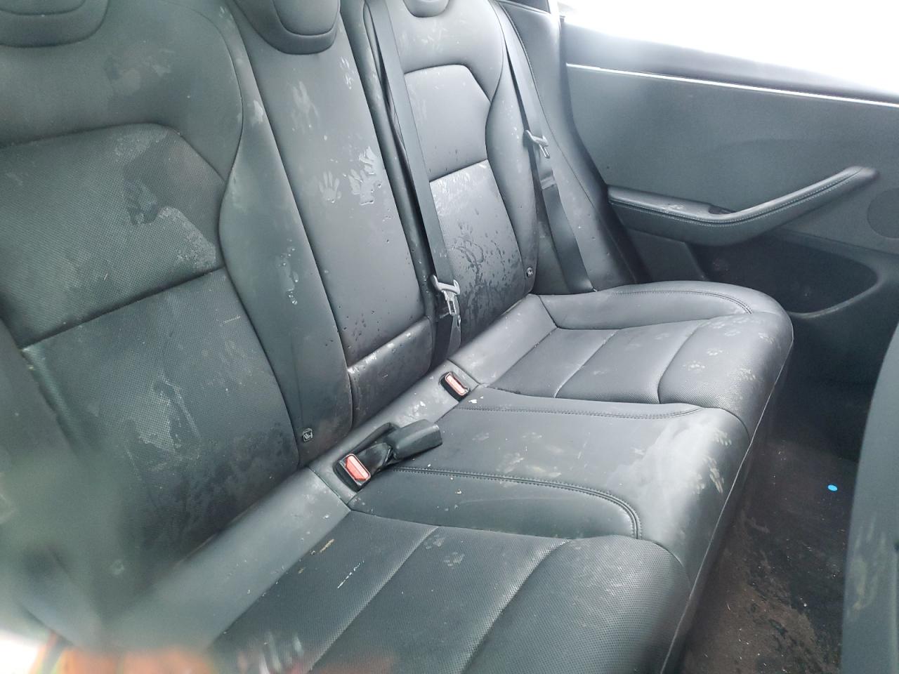 Tesla Model 3 Image 12