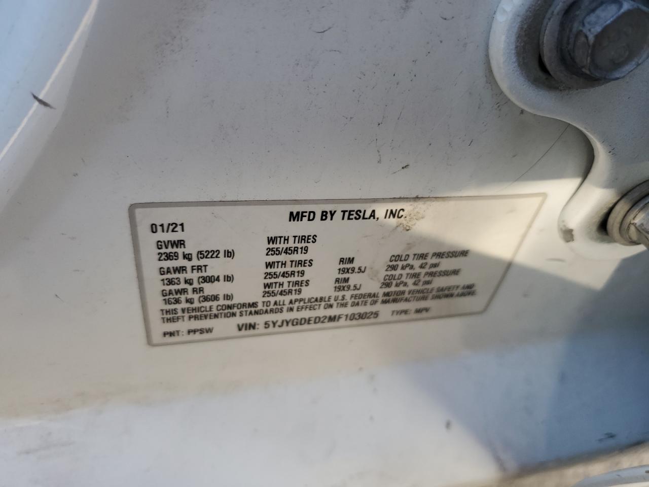 Tesla Model Y Image 8