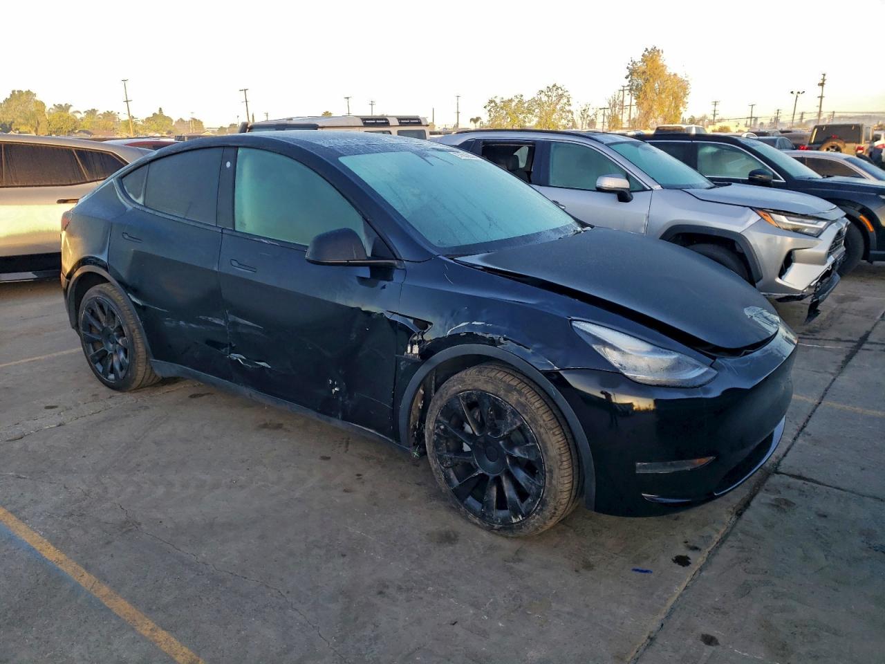 Tesla Model Y Image 13