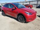 Tesla Model Y Image 2